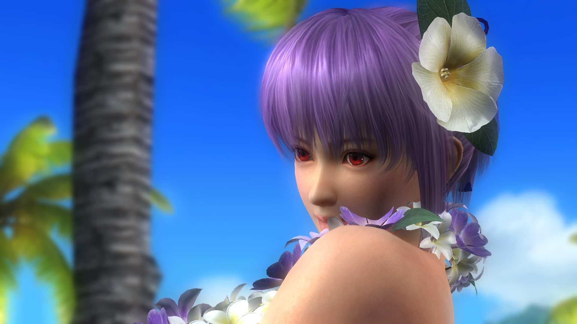 DEAD OR ALIVE 5 Last Round_20150310073717.jpg