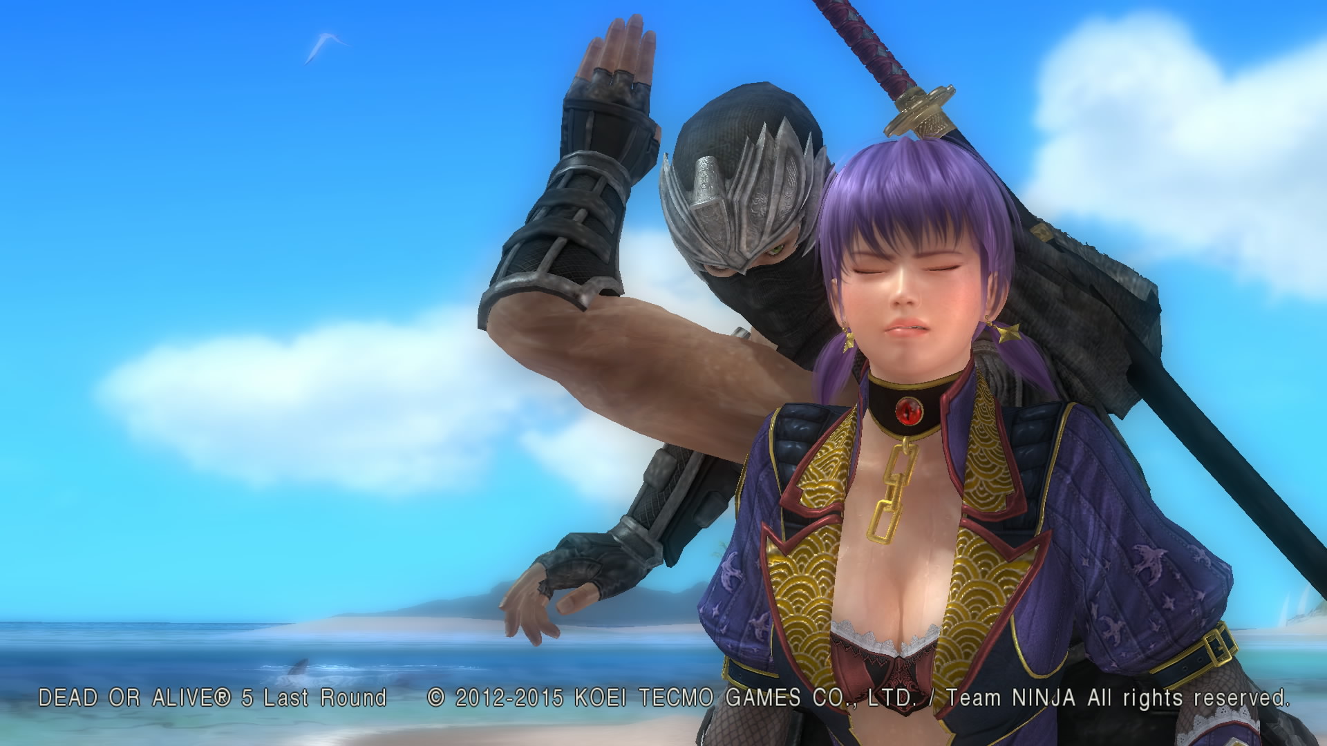 DEAD OR ALIVE 5 Last Round__1.jpg