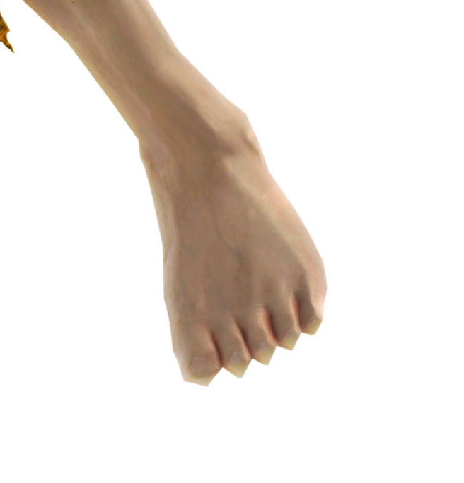 foot.jpg