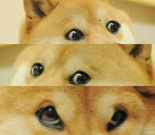 FreeStep Doge.png