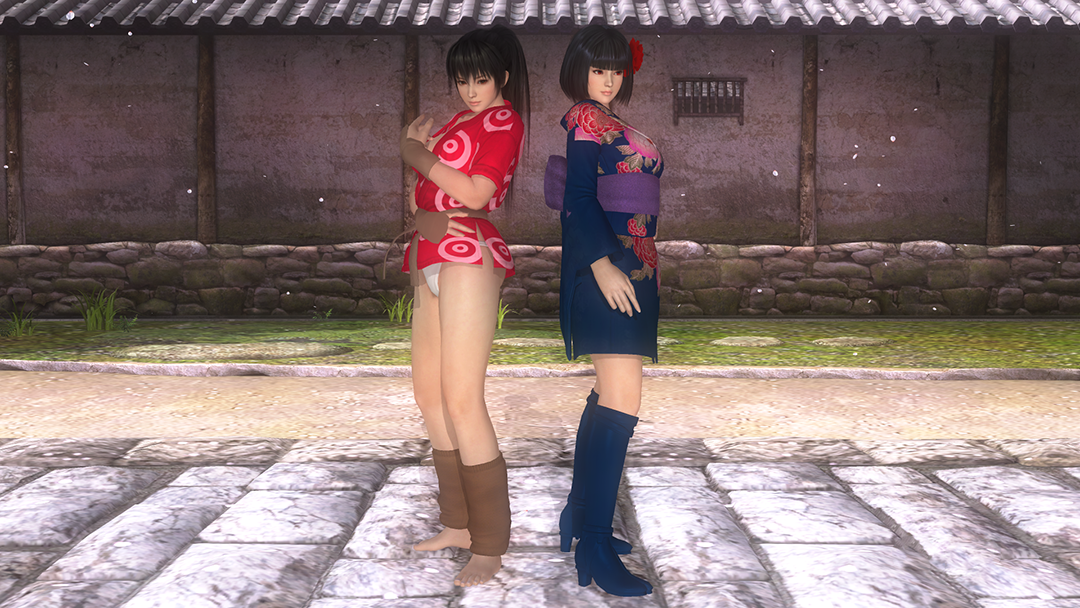 Kamui and Oyuki in Dead or Alive 5 Downsized.png