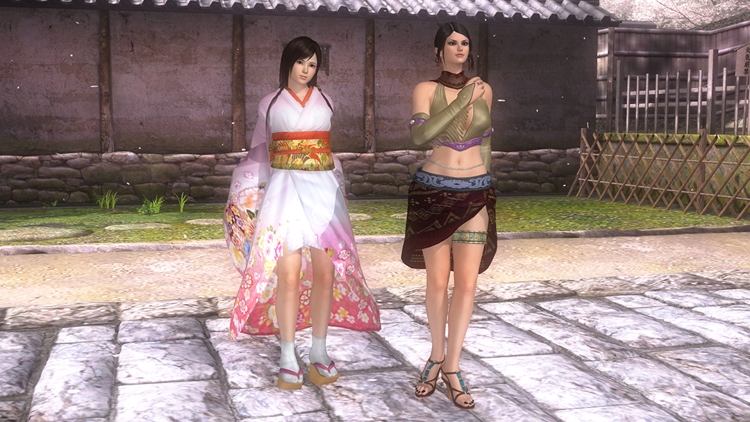 Kokoro and Zafina tag alongside in Dead or Alive 5 Regular.png