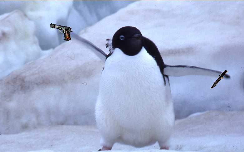 Weapon_penguin.JPG